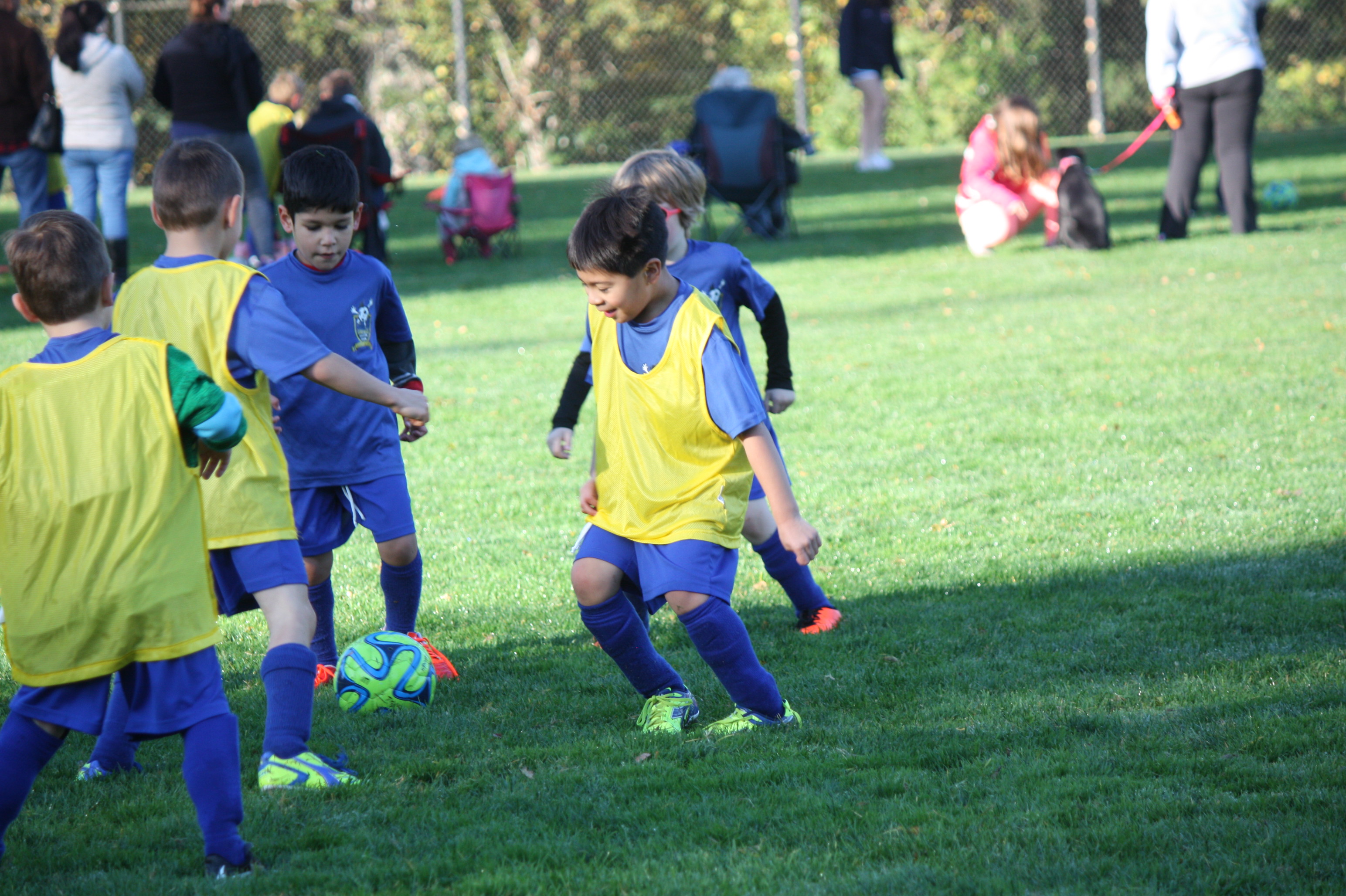 Boys Micro Soccer
5 players
HQ
Racially diverse