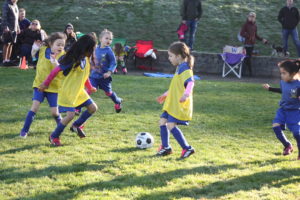 Girls Micro Soccer
5 players
HQ
Racially diverse