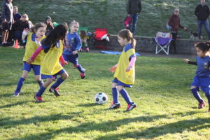 micro_soccer_girls2 Girls Micro Soccer
5 players
HQ
Racially diverse